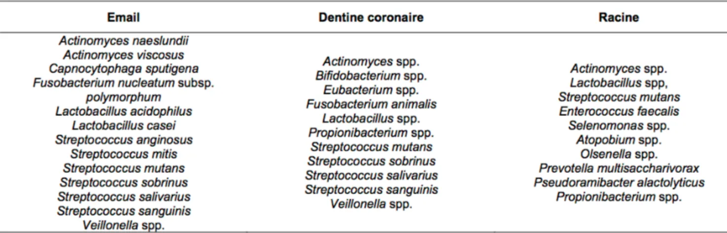 Tableau 2. Principales espèces bactériennes cultivables isolées dans les lésions carieuses [5]