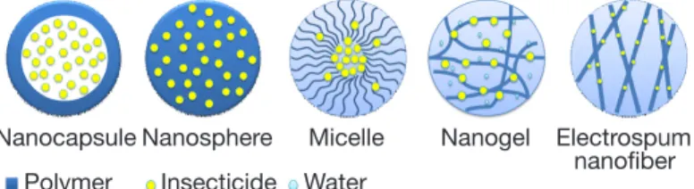 Figure 1.  Different  structures  of  polymeric  nanopesticides  — Différentes structures de nanopesticides polymériques.