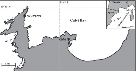 Fig. 1 – sampling site. the sampling site is situated in front of the research station stAREsO, Corsica, France,  in the P