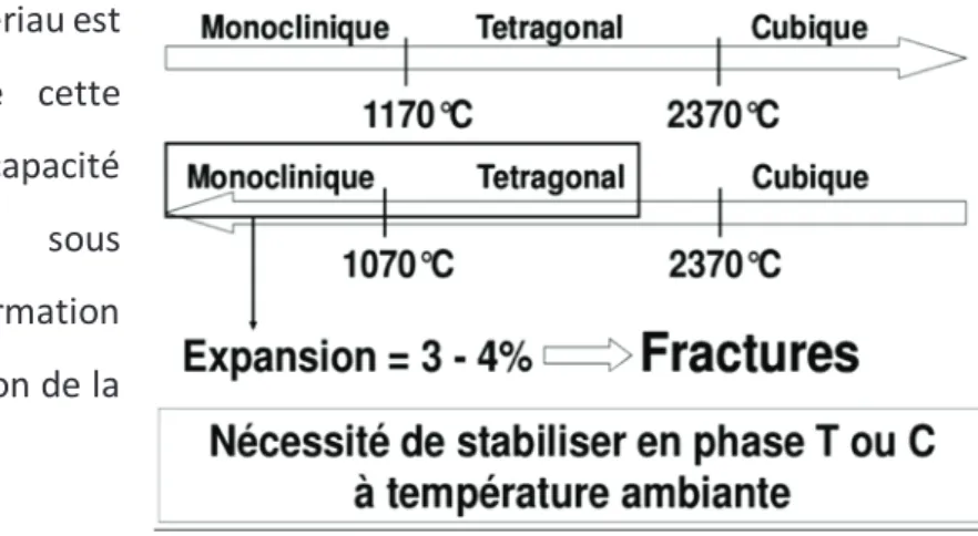 Figure 16 : Schématisation de la transformation allotropique de la  zircone 