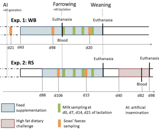 Figure 6. Time line and different sampling points of the two animal experiments performed