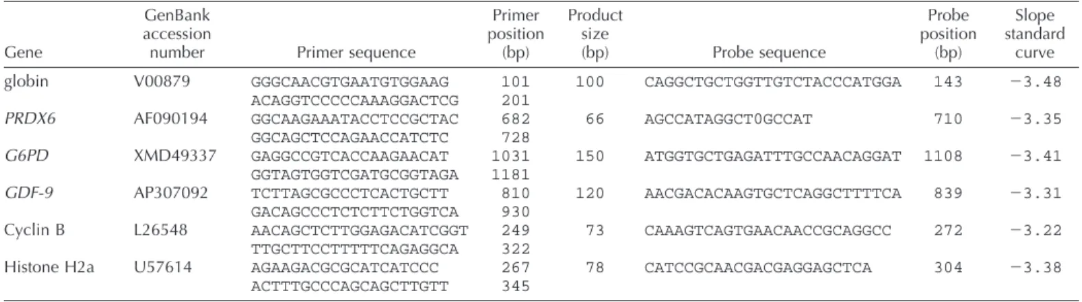 TABLE 1. Information on primers used for real-time PCR.