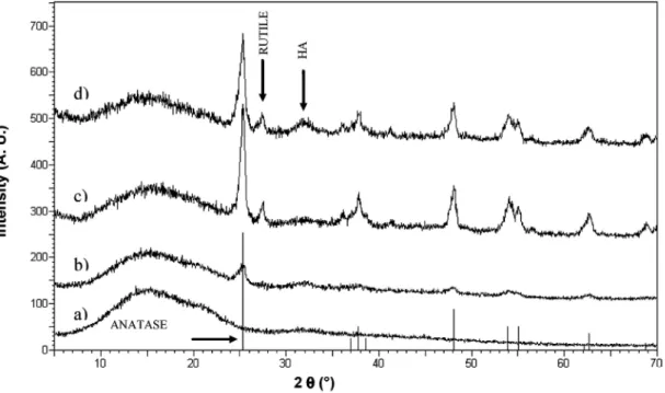 Figure 4 :   XRD patterns showing diffraction peaks for the different samples after 21 days of immersion in SBF: 