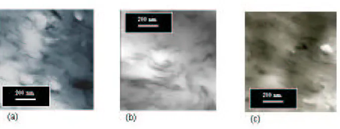Fig. 1. TEM micrographs for nanocomposites based on poly(ε-caprolactone) filled  with 3 wt.-% (precluding the organic layer) of  (a) Mont-C 18  (PCLC3);                        