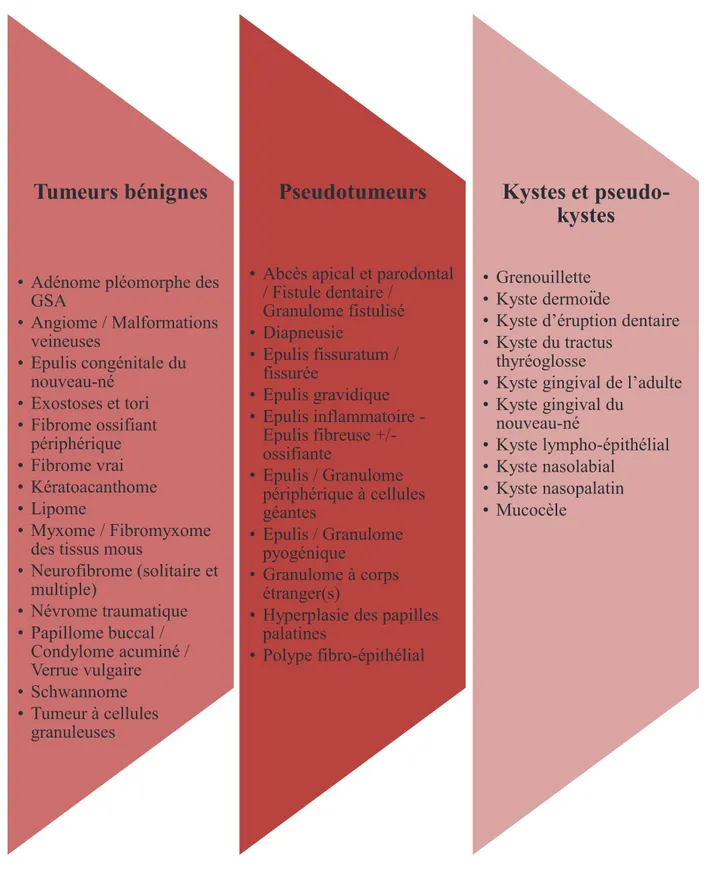 Figure 1. Liste des lésions nodulaires traitées (par ordre alphabétique).