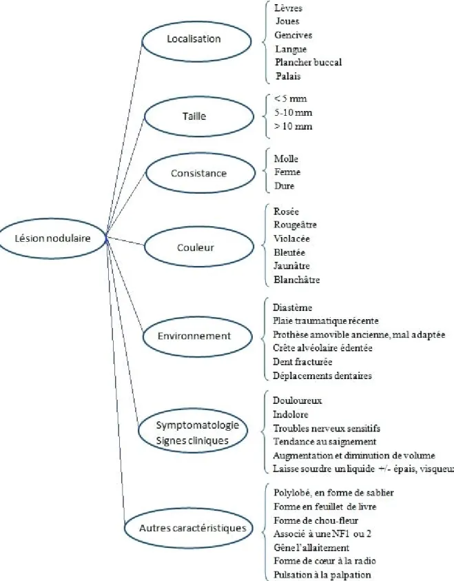 Figure 2. Classification par facettes et caractéristiques cliniques retenues. 