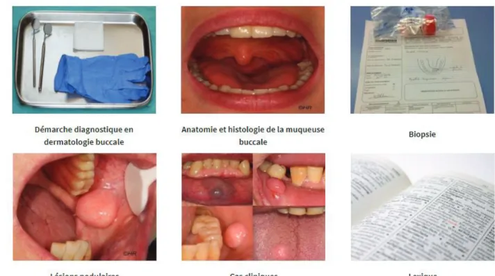 Figure 3. Capture d’écran de la page d’accueil du site. 