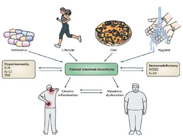 Figure I. 5. Facteurs influençant la composition du microbiote intestinal et les effets de la dysbiose sur la santé de l'hôte  (Sommer and Bäckhed 2013) 