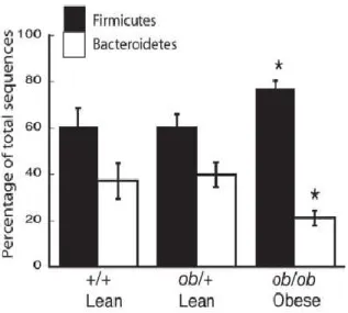 Figure I. 6. Effets de l'obésité sur l'écologie du microbiote intestinal chez les souris (Ley, Bäckhed et al