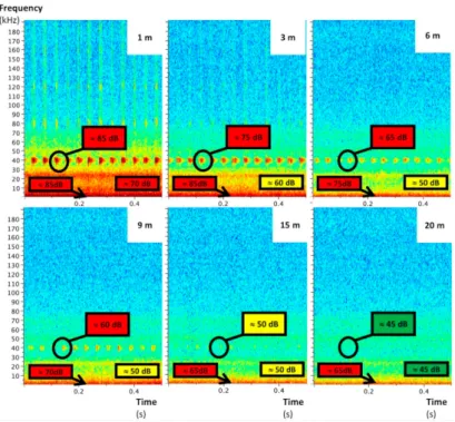 Figure 5. Raven Lite spectrograms of quadcopter ultrasonic noises at several vertical distances (1 to 20 m), recorded by the AudioMoth with the insulation casing.