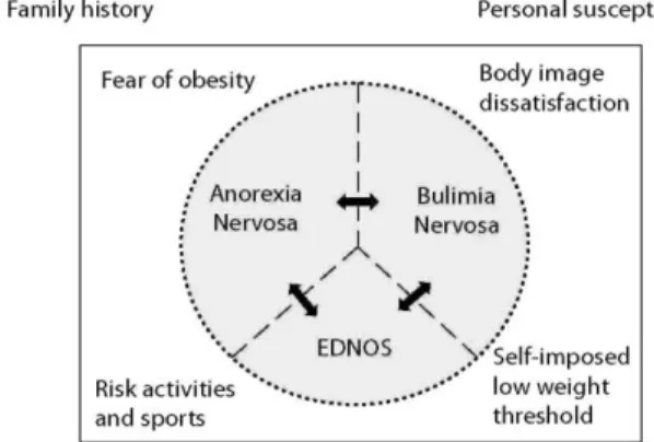 Fig. 1. Schematic representation of the interconnections between the three forms of eating disorders, some  predisposing conditions and pathogenetic factors