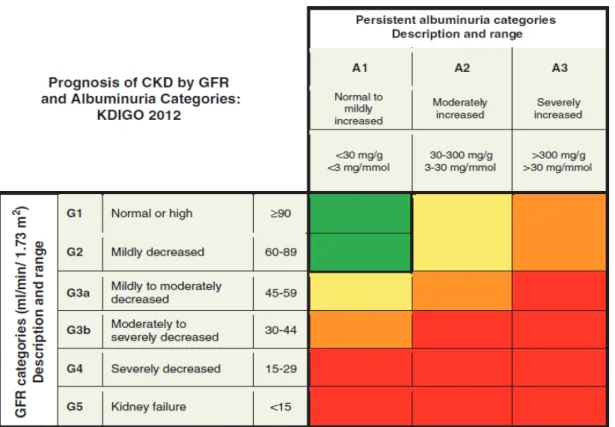 Tableau 2 : Pronostic de la MRC en fonction du niveau de DFG (en ml/min/1,73m2) et du  ratio albuminurie/créatininurie (en mg/g ou mg/mmol)