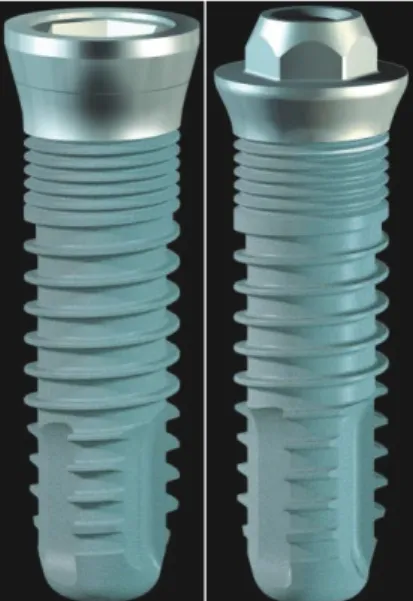 Fig. 10 : Image de deux implants à connectique interne et externe 