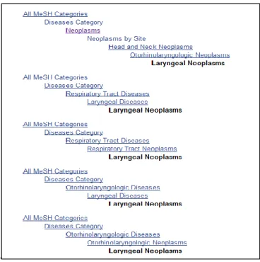 Figure 3. Relations hiérarchiques pour le descripteur laryngeal neoplasms dans la MeSH  database