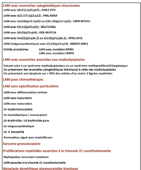Tableau 1 : Classification OMS des leucémies aigues myéloïdes et hémopathies apparentées  (2008)