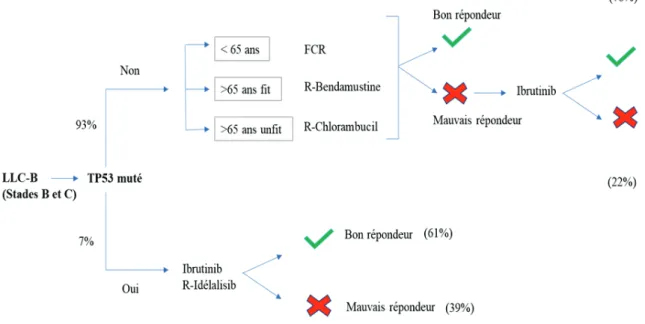 Figure 1 : Arbre décisionnel de la prise en charge thérapeutique d’une LLC-B.  