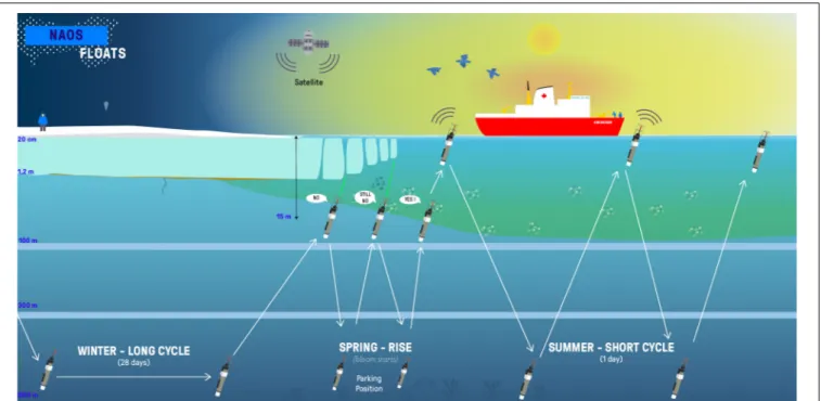 FIGURE 4 | A daily profile cycle of BGC-Argo floats deployed during the 2016 Green Edge scientific mission in Baffin Bay