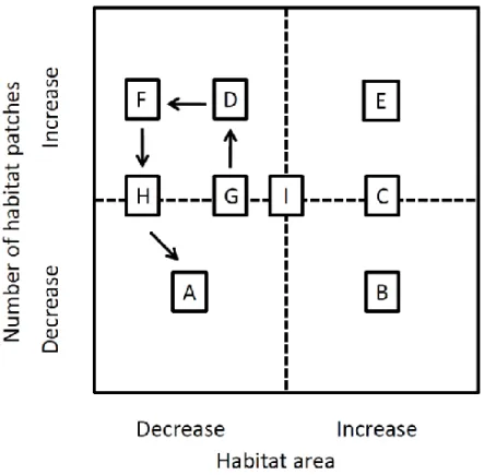 Figure 1. Landscape transformation processes and their impact on habitat area and on the number of  habitat patches
