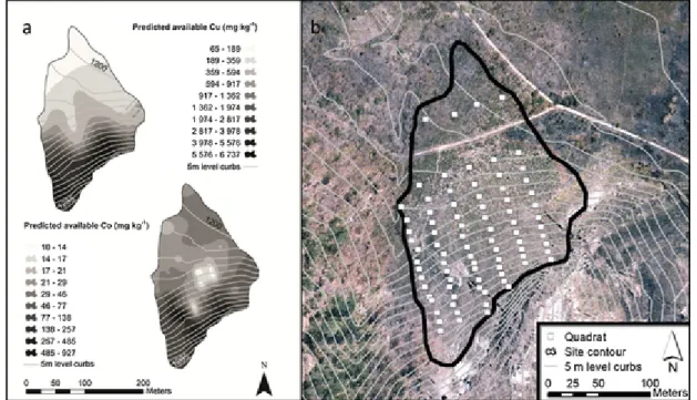 Fig. 1. Predicted value of copper and cobalt concentrations on one copper hill, Fungurume V (a) and the location of the performed sampling plots (b).