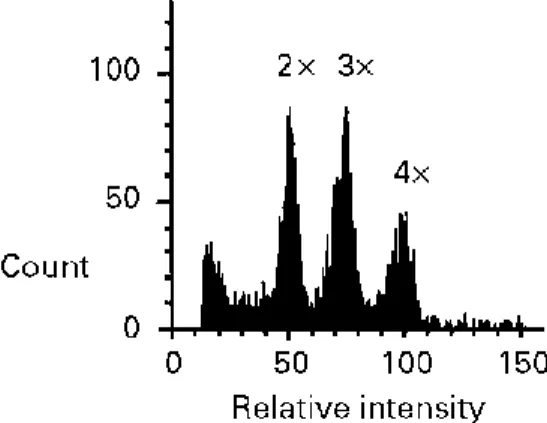 Fig. 2. Frequency distribution of fluorescence intensity of single nuclei for a mixed sample of di-, tri- and  tetraploid analysed by flow cytometry
