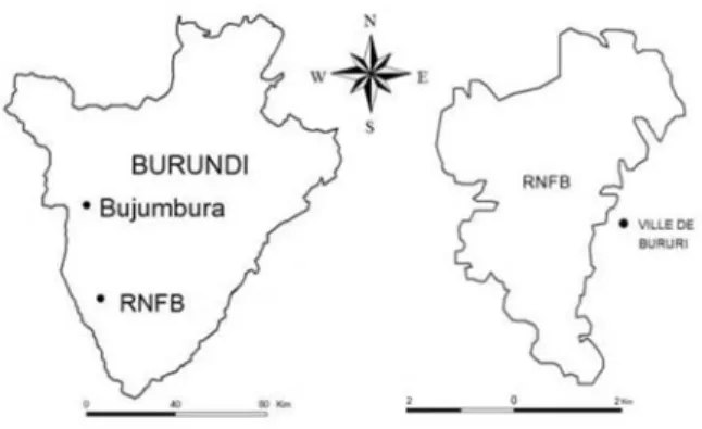 Figure 1. Localisation  de  la  Réserve  Naturelle  Forestière  de  Bururi (RNFB).