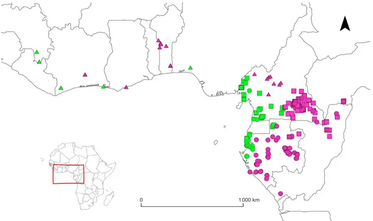 Figure 2. Distribution des pools génétiques d’Erythrophleum dans le golfe de Guinée d’après l’étude de Duminil et al