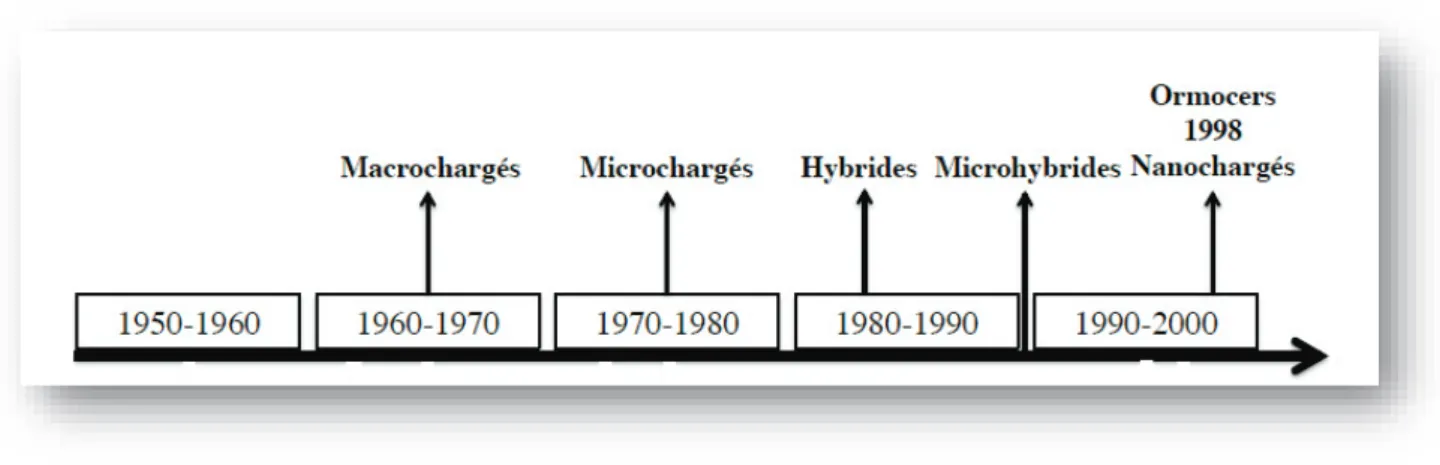 Figure 8 : Evolution des charges au sein des résines composites au cours du temps  (14)