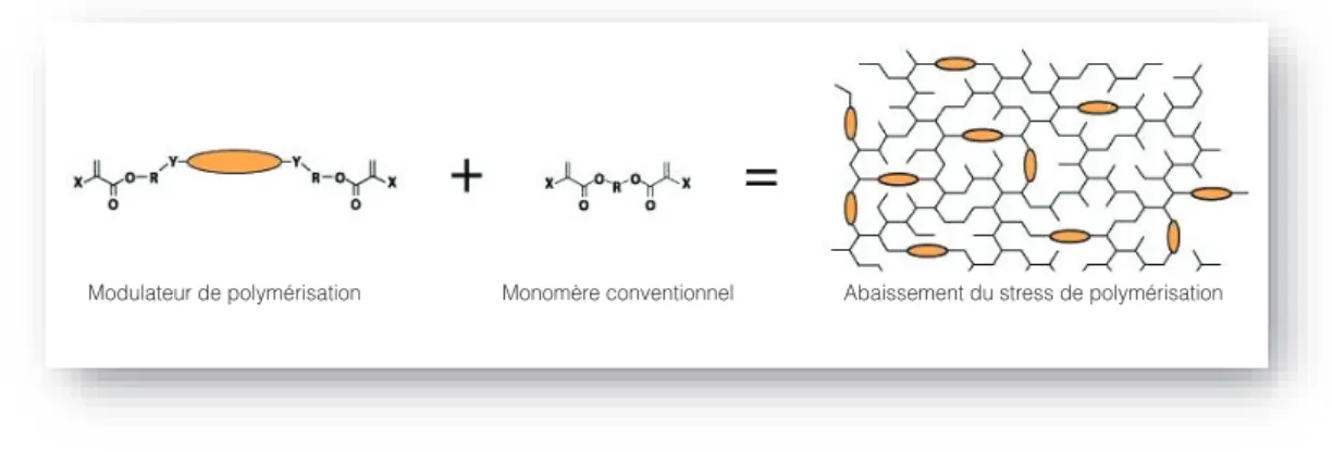 Figure 11 :Molécule SDR avec son modulateur de tension 