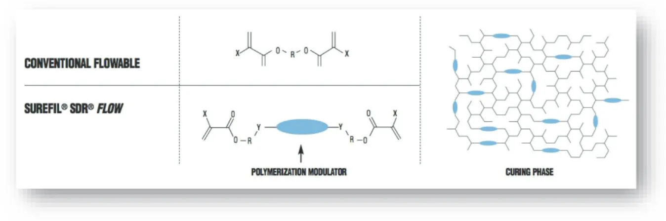 Figure 19 : Modulateur de polymérisation du SDR 