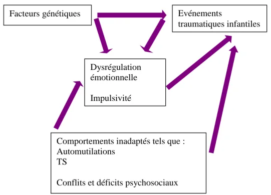 Figure 3 : Modèle multifactoriel du trouble de personnalité borderline de Lieb et al. (2004) Evénements traumatiques infantiles Facteurs génétiques Dysrégulation émotionnelle Impulsivité    