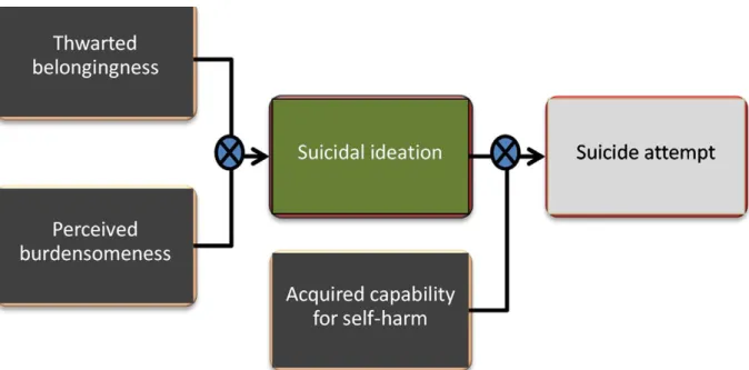 Figure 1 : la théorie interpersonnelle psychologique du comportement suicidaire 