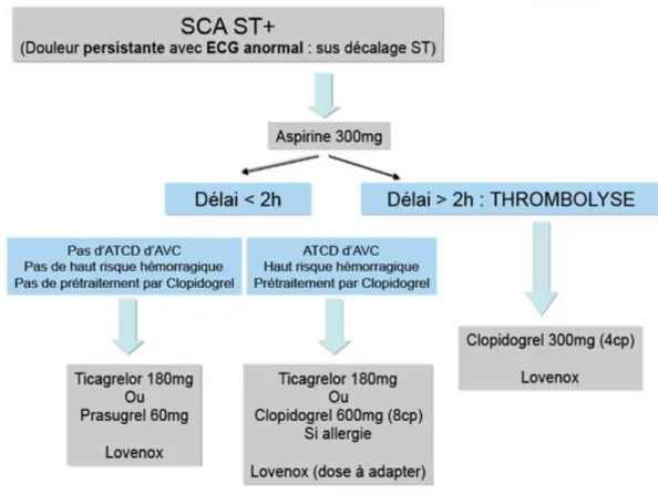 Figure 7 : Protocole local adapté par le Pr E.FERRARI 