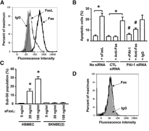Figure 4. Increase in FasL-Mediated Apoptosis in the Absence of PAI-1 