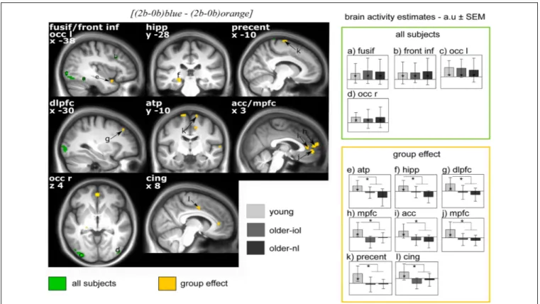 FIGURE 4 | Effect of [(2b-0b)blue – (2b-0b)orange] on brain responses in young, older-nl, and older-iol subjects