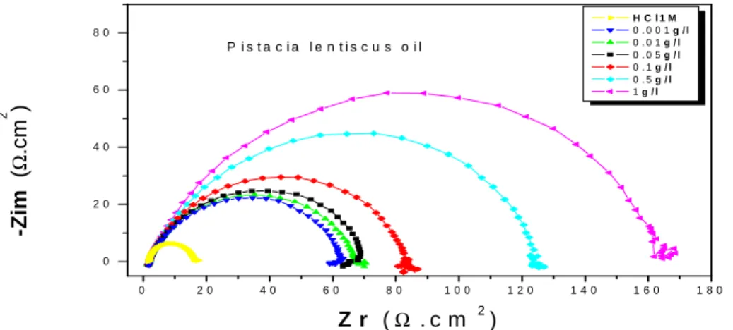 Figure 7. Nyquist diagrams for mild  steel in 1M HClcontaining different concentrations of Pistacia lentiscus oil 