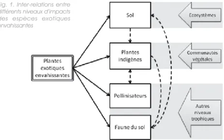 Fig. 1. Inter-relations entre  différents niveaux d’impacts  des  espèces  exotiques  envahissantes