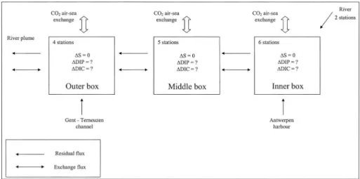 Fig. 2. Land-Ocean Interaction in the Coastal Zone (LOICZ) budgeting procedure for the Scheldt estuary from June to December 2003.