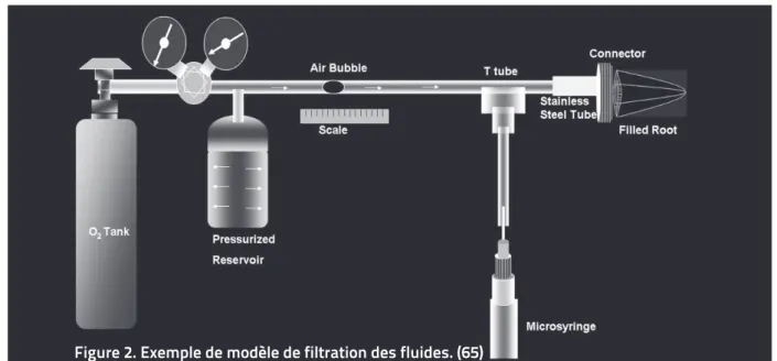 Figure 2. Exemple de modèle de filtration des fluides. (65)
