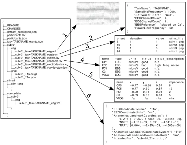 Fig. 1  Exemplary EEG-BIDS dataset with previews of EEG files. The left side of the figure shows a standard  BIDS directory tree with the root containing files describing the dataset in general (“README”, “dataset_