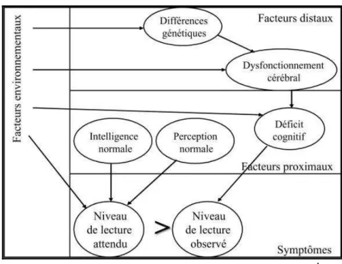 Figure 10: Cadre général pour décrire les théories de la dyslexie 1