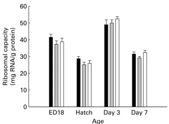 Fig. 4. Ribosomal capacity (mg RNA/g protein) in breast muscle of chicks from the albumen-deprived ( ), control ( ) and sham ( ) groups on embryonic day (ED) 18, at hatch and on days 3 and 7 (n 10 per treatment on ED18 and n 12 per treatment on the other s