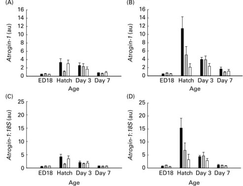 Fig. 7. Expression of atrogin-1 from embryonic day (ED) 18 until day 7 in (A) females and (B) males of the albumen-deprived ( ), control ( ) and sham ( ) groups