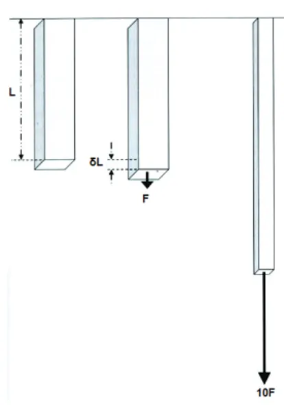 Figure 1 : Application d’une force F à un fil élastique déterminant une déformation L/L 