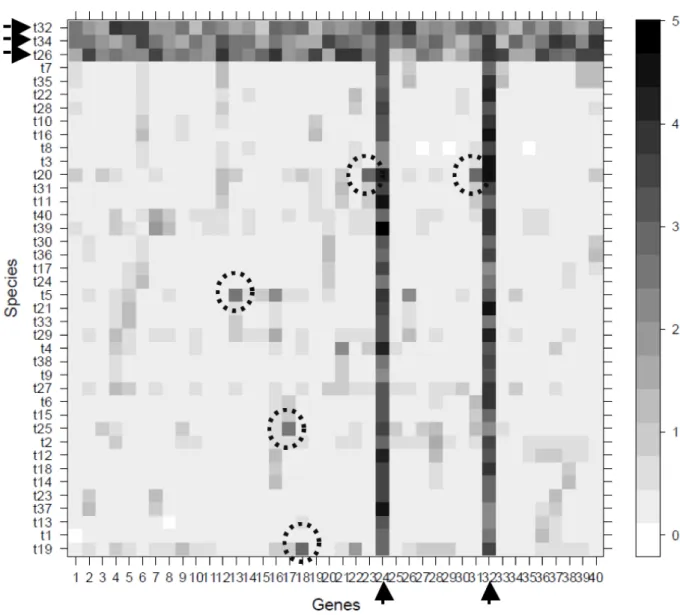 Fig. 3. Typical output of Phylo-MCOA. A matrix containing as many rows as the number of species and  as many columns as the number of genes was computed, in which complete (black arrows) and  cell-by-cell (dashed circles) outliers can easily be detected