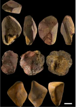 Fig. 1. Ferruginous stones showing traces of abrasion by rubbing and scraping. All of them were removed from level 4, a late Mousterian camp site.