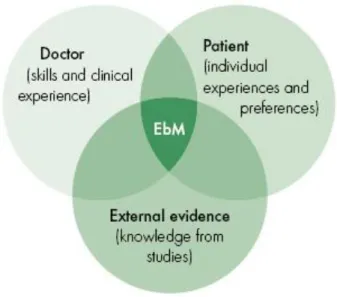 Figure 6 : modèle représentatif de l’EBM. 