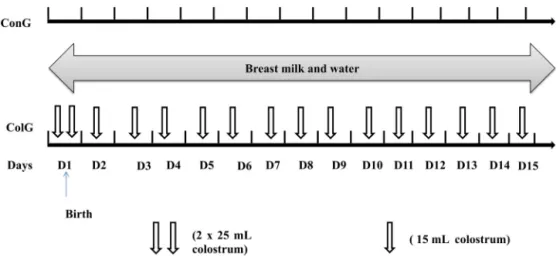 Fig. 1. Experimental design.