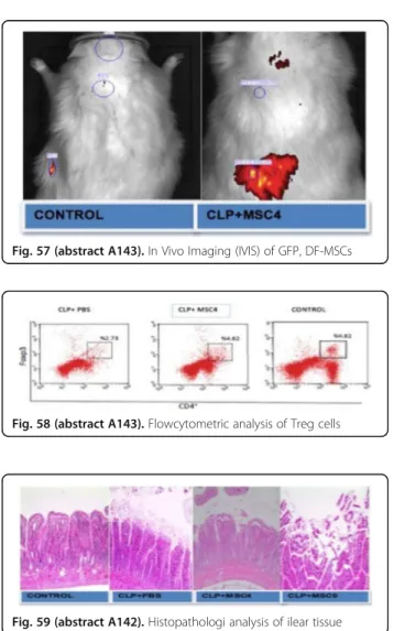 Fig. 57 (abstract A143). In Vivo Imaging (IVIS) of GFP, DF-MSCs