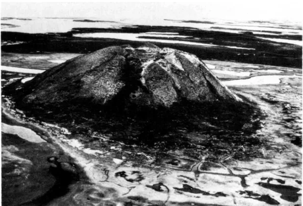 Fig.  4.  Vue  de  l'Ibyuk  pingo  près  de  Tuktoyaktuk  dans  le  delta  du  Mackenzie