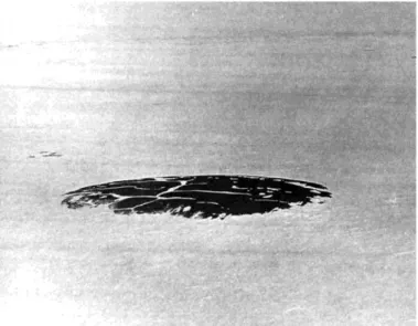 Fig. 5.  A large  pingo  on  the  summit  of  Prince  Patrick  Island  with  its  irregular  shape  and  the  ice  wedge  polygons